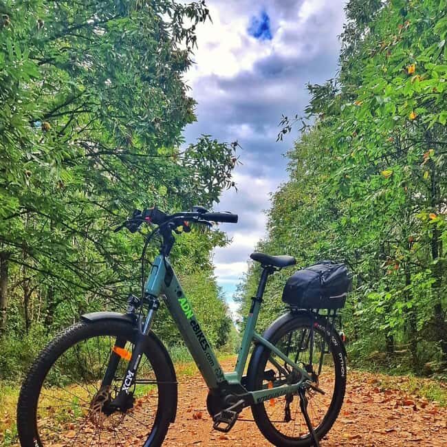 Surbourg: Electric bike rental by the day - An In-Depth Look at the Surbourg Electric Bike Experience