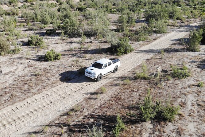 Surf Lesson Tours (half day) - FAQs