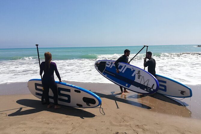 Surf or Paddle Surf course in Benicasim Castellon - Key Points