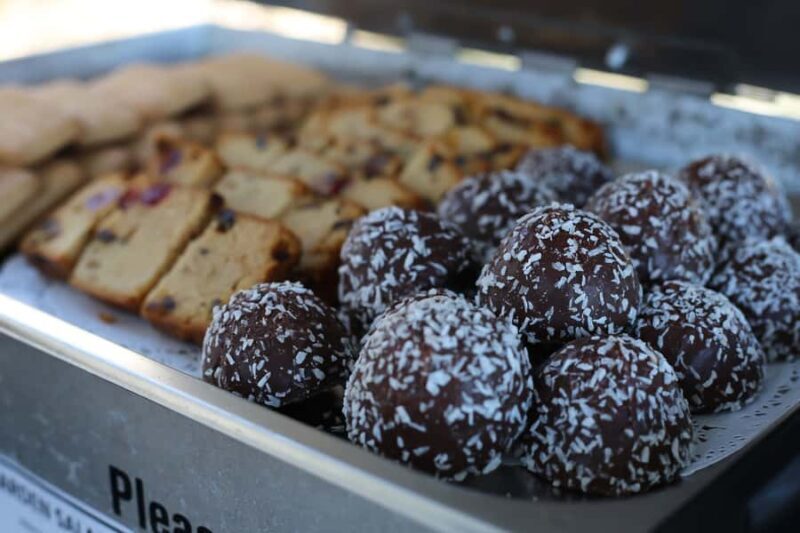 Surfers Paradise: Sightseeing Morning River and Canal Cruise - What to Expect on the Cruise