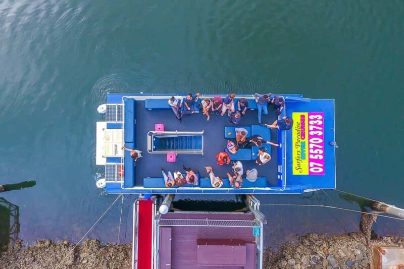 Surfers Paradise: Sightseeing Morning River and Canal Cruise - What Makes This Cruise Special