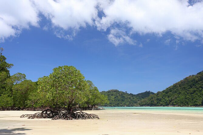 Surin Islands 2 Days 1 Night Trip from Khao Lak - FAQ