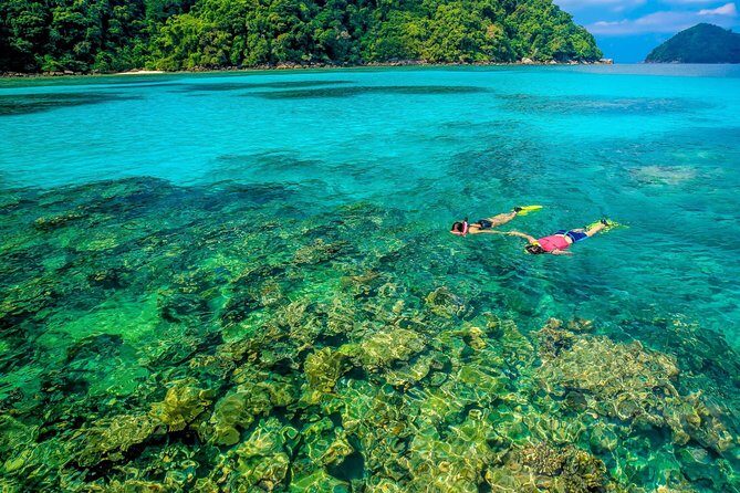 Surin Islands Snorkel Tour by SeaStar Andaman from Phuket - Authentic Traveler Feedback from Reviews