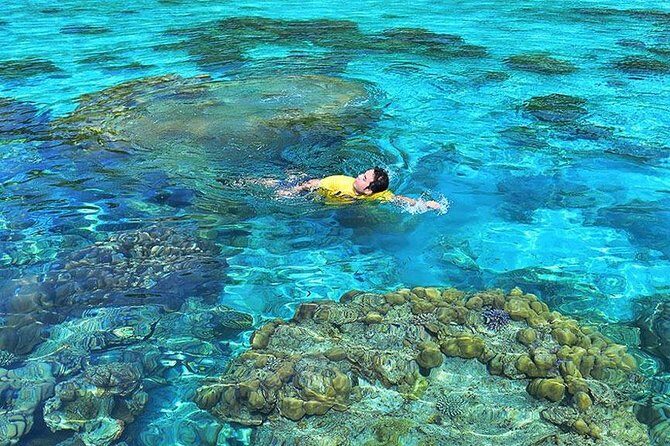 Surin Islands Snorkeling Day Trip By Love Andaman From Khao Lak - Summary: Is This Tour Worth It?