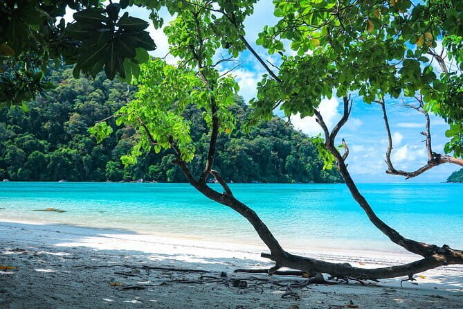 Surin Islands Tours by Speedboat - FAQ