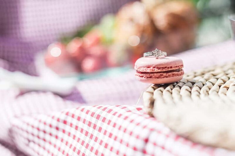 Surprise Proposal Picnic - Paris Proposal Planner - Introduction