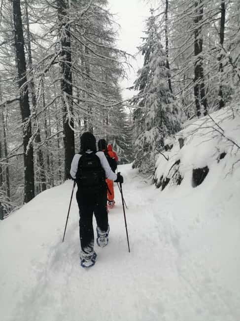 Susa Valley at dawn: snowshoeing in nature and silence - Discovering the Susa Valley at Dawn: What to Expect