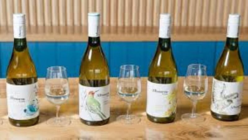 Sussex Vineyard Tour by Minibus - pick up and drop off - An In-Depth Look at the Sussex Vineyard Tour Experience