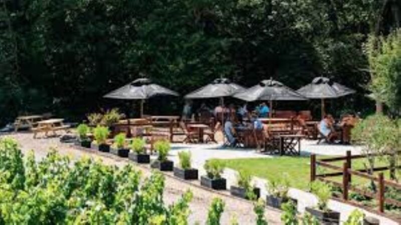 Sussex Vineyard Tour by Minibus - pick up and drop off - Frequently Asked Questions