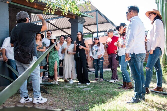 Sustainable Mezcal Adventure Food and Education Tour - Transportation, Timing, and Group Size