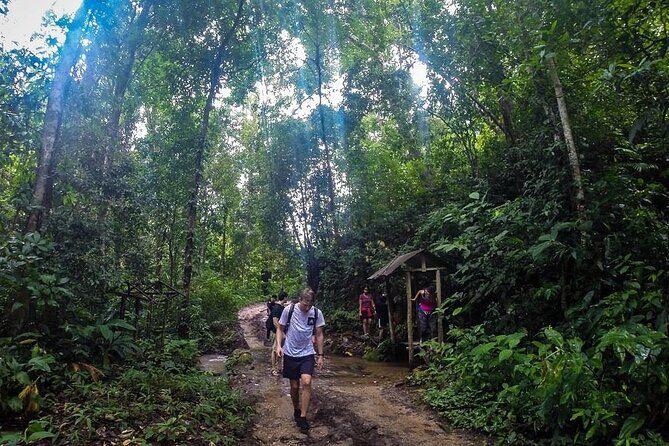 Suthep Temple and Monthathan Waterfall Adventure Trail From Chiang Mai - FAQ