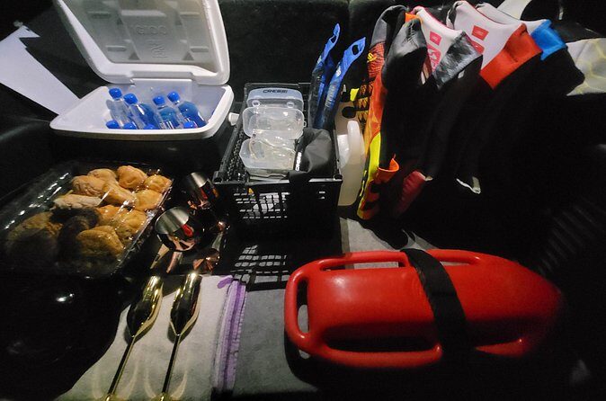 SUV from Cancun Airport to Cancun or Playa del Carmen, one way. - The Sum Up: Who Will Benefit Most from This Transfer?