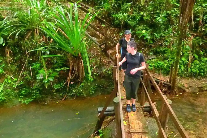 Suva Customized tour- Private - Who Would Love This Tour?