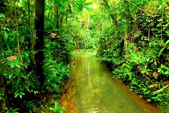 Suva Customized tour- Private - FAQs