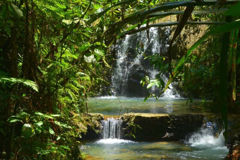 Suva: Fijian Nature and Waterfall Tour - A Deep Dive into the Fijian Waterfalls and Rainforest Experience