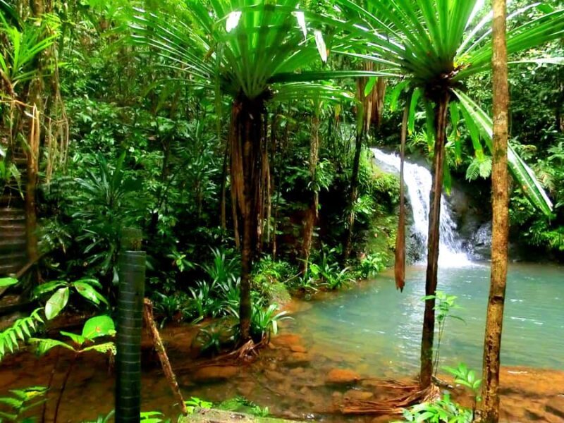 Suva: Fijian Nature and Waterfall Tour - The Sum Up