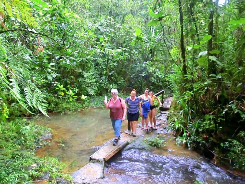 Suva: Half Day City Sightseeing Tour - An Overview of the Suva Experience