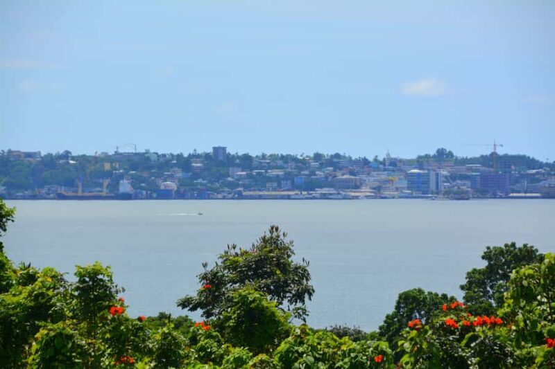 Suva: Half Day City Sightseeing Tour - Who Is This Tour Best For?