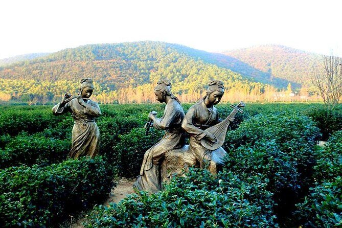 Suzhou Eco Village Private Day Tour with Lunch and Fruit Picking Option - Key Points