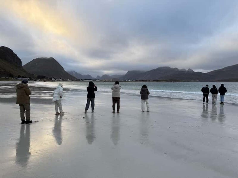 Svolvær: Lofoten Islands Full-Day Guided Tour - Key Points