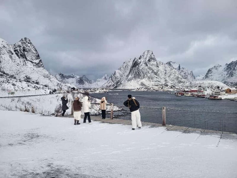 Svolvær: Lofoten Islands Full-Day Guided Tour - Who Should Consider This Tour?