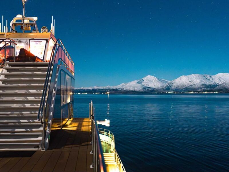 Svolvær: Northern Lights and Full Steam Cruise with Tasting - Key Points