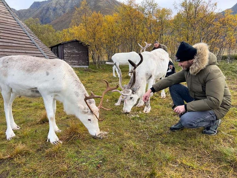 Svolvær: Sami Culture and Reindeer Experience - Key Points