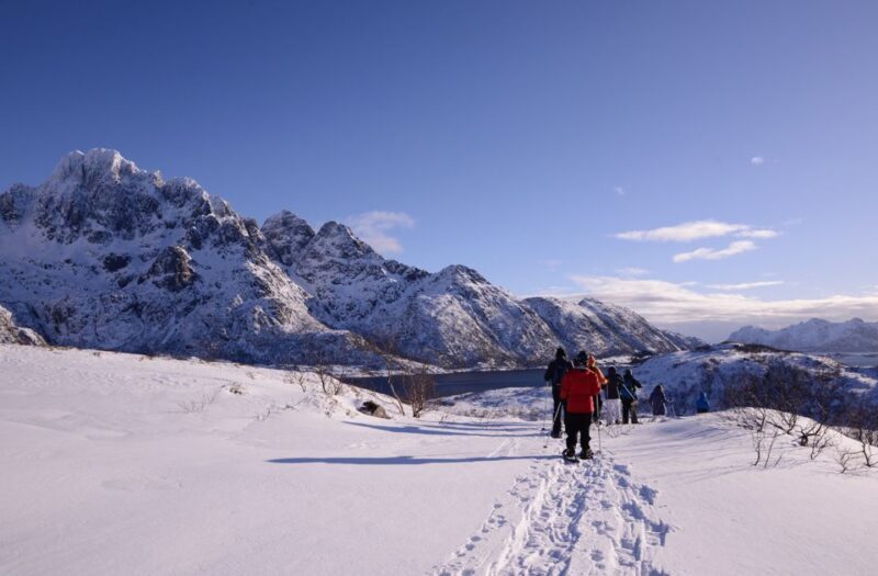 Svolvær: Snowshoe Nature Explorer - The Value of the Experience