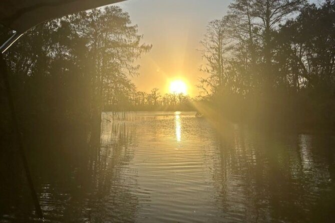 Swamp - Eco - Cruise and Walking Tour - @Meta Description: