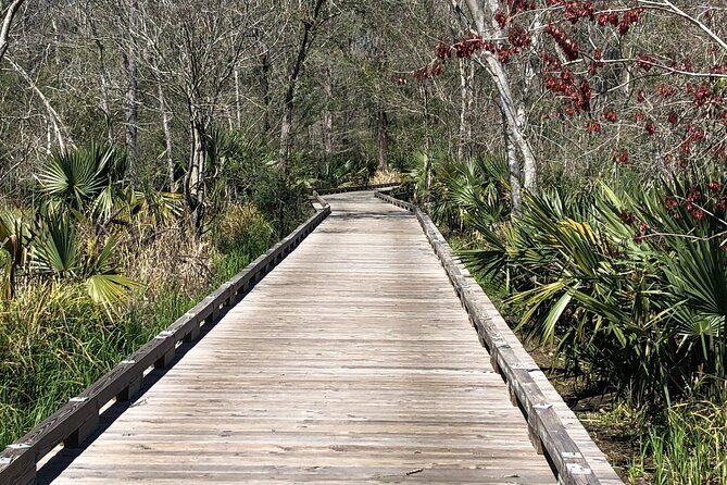 Swamp - Eco - Cruise and Walking Tour - FAQs