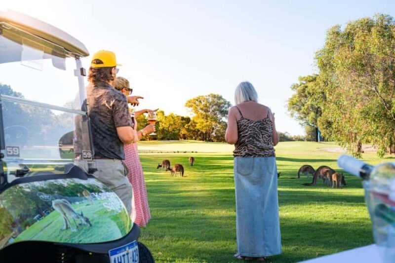 Swan Valley: Golf Cart Kangaroo Safari w/ Mini Golf & Drink - Key Points