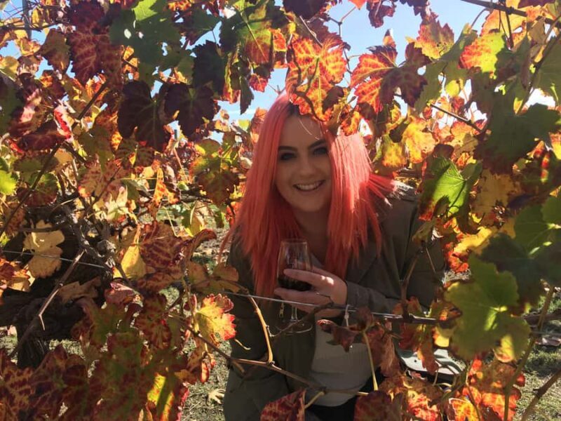 Swan Valley: Out for the Afternoon Wine Tasting with Lunch - Value and Price