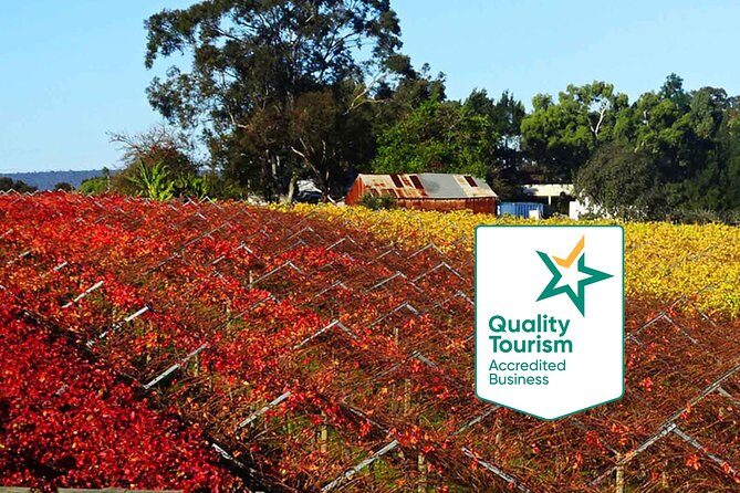 Swan Valley Region Private Day Tours - Key Points