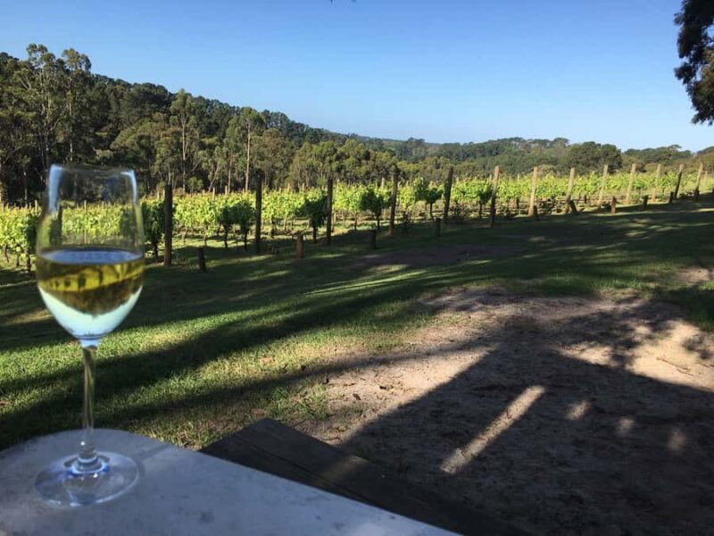 Swan Valley Wine Discovery: Private Tour from Perth - Key Points