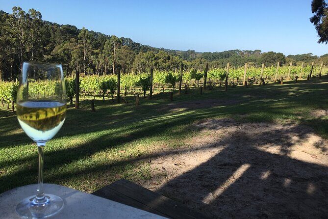 Swan Valley Wine Discovery: Private Tour from Perth - Key Points