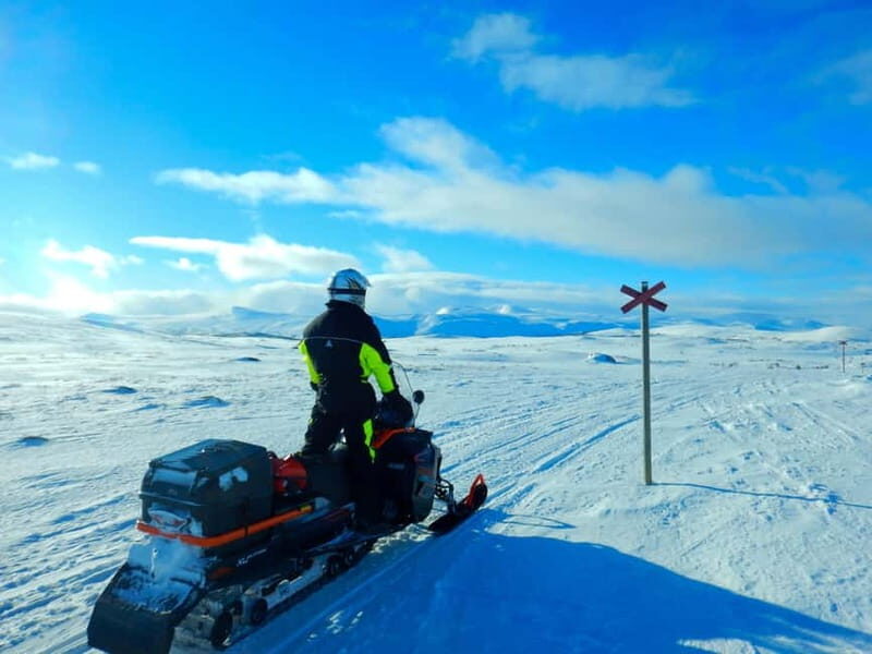 Swedish Lapland: Snowmobile safari - Key Points