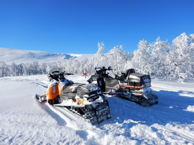 Swedish Lapland: Snowmobile safari - Who is this tour best suited for?