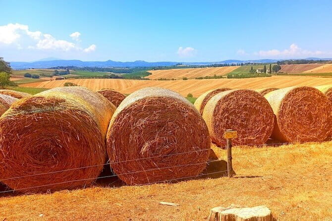 "Sweet Hills of Chianti & San Gimignano" with Lunch & 2 Tastings - Who Will Love This Tour?