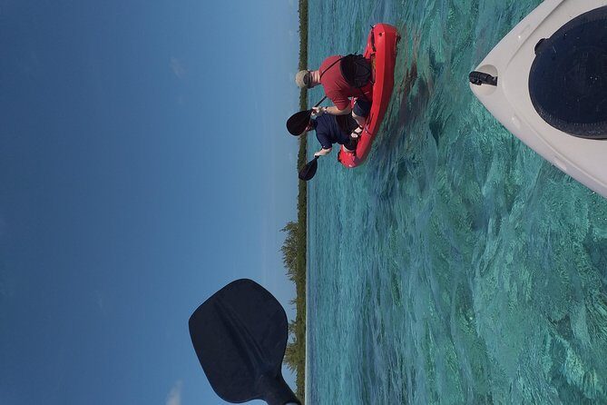 Sweetings Cay Mangrove Kayaking and Turtles - Starting Point and Transportation