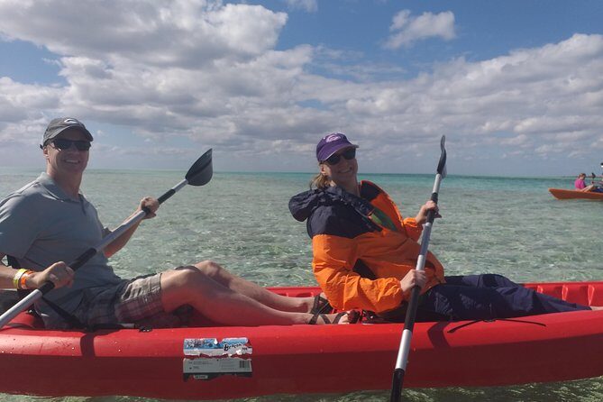 Sweetings Cay Mangrove Kayaking and Turtles - Optional Boat Ride and Wildlife Watching