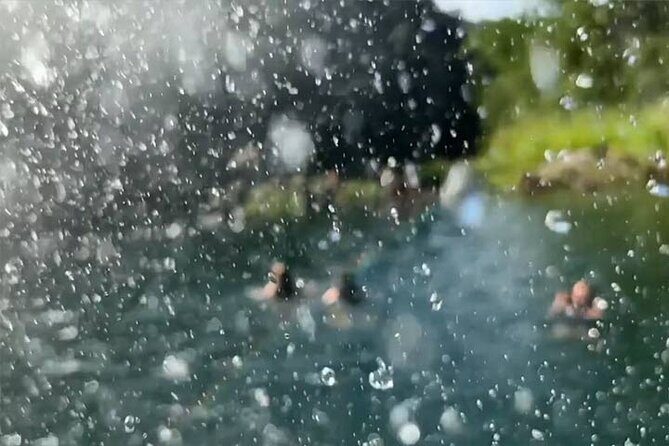 Swim at Oahu Waterfall in Waimea with Coffee, Lunch and Dole - An In-Depth Look at the Tour Experience