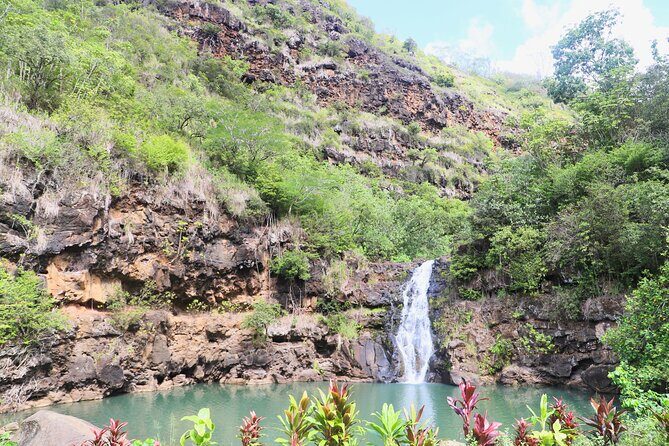 Swim at Oahu Waterfall in Waimea with Coffee, Lunch and Dole - FAQ