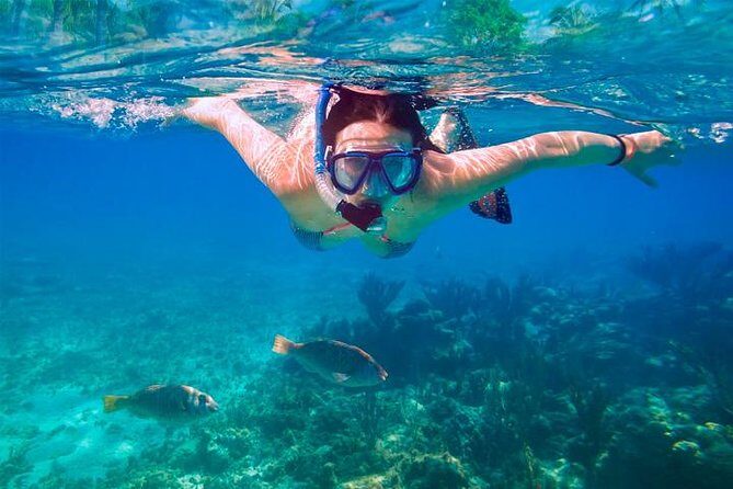 Swim & Fly Day Trip in Cancun with Transportation - Final Thoughts: Is It Worth It?