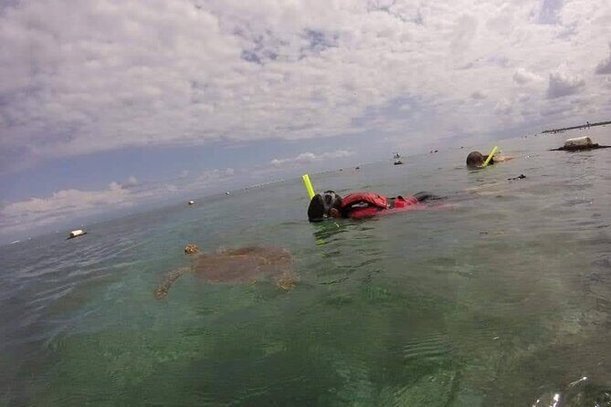 Swim with akumal turtles - Who Would Enjoy This Tour?