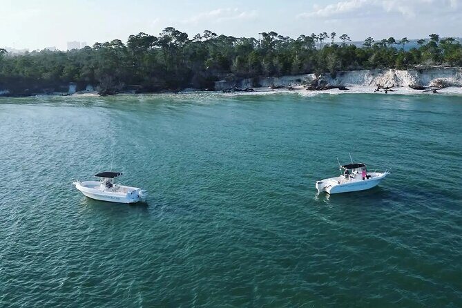 Swim with Dolphins And Snorkeling Group Tour - What the Tour Offers: A Close Look at Panama City Beach’s Marine Life