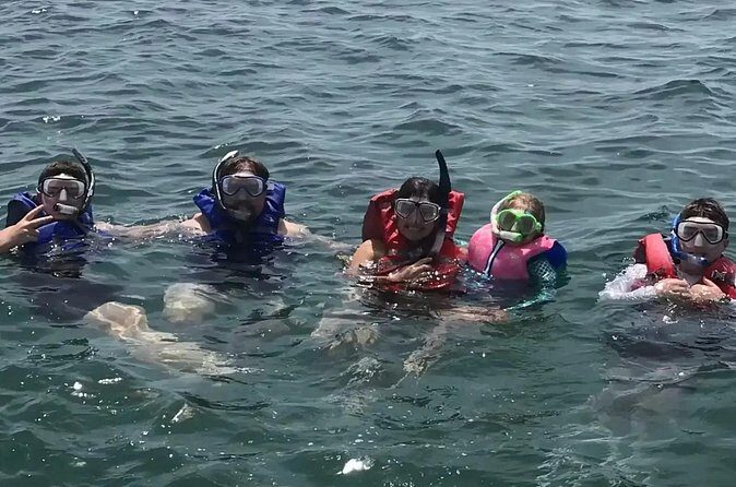 Swim with Dolphins And Snorkeling Group Tour - Who This Tour is Perfect For