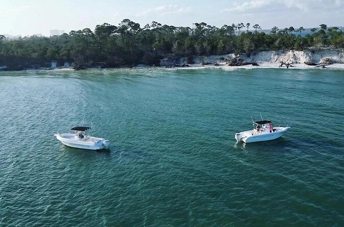 Swim with Dolphins And Snorkeling Group Tour - Final Thoughts