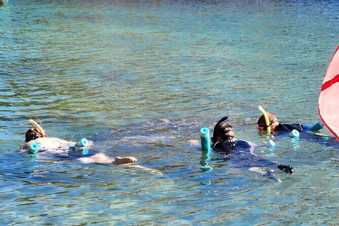 Swim With Manatees In Crystal River - Why This Tour Offers Great Value