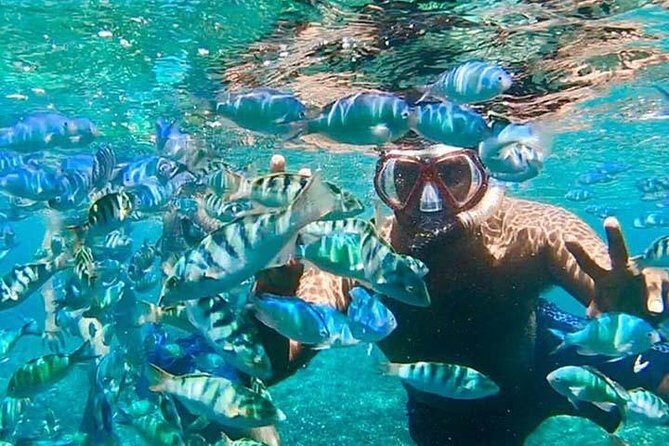 Swim with Manta Rays in Nusa Penida - ALL inclusive - FAQ