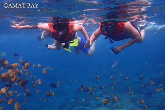 Swim With Manta Rays Nusa Penida Snorkeling - Key Points